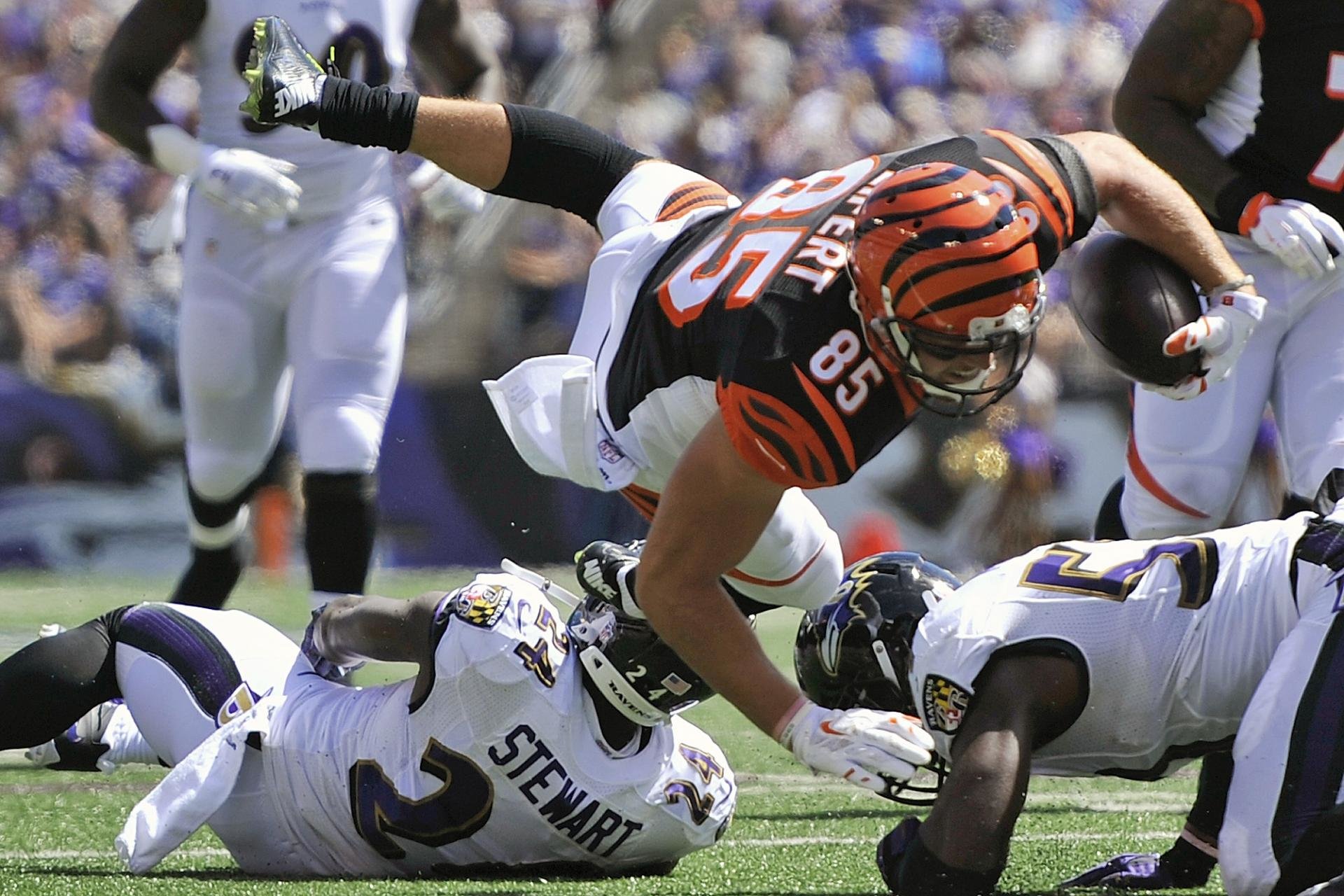 Best Baltimore Ravens background ID:269417 for High Resolution hd 1920x1280 PC