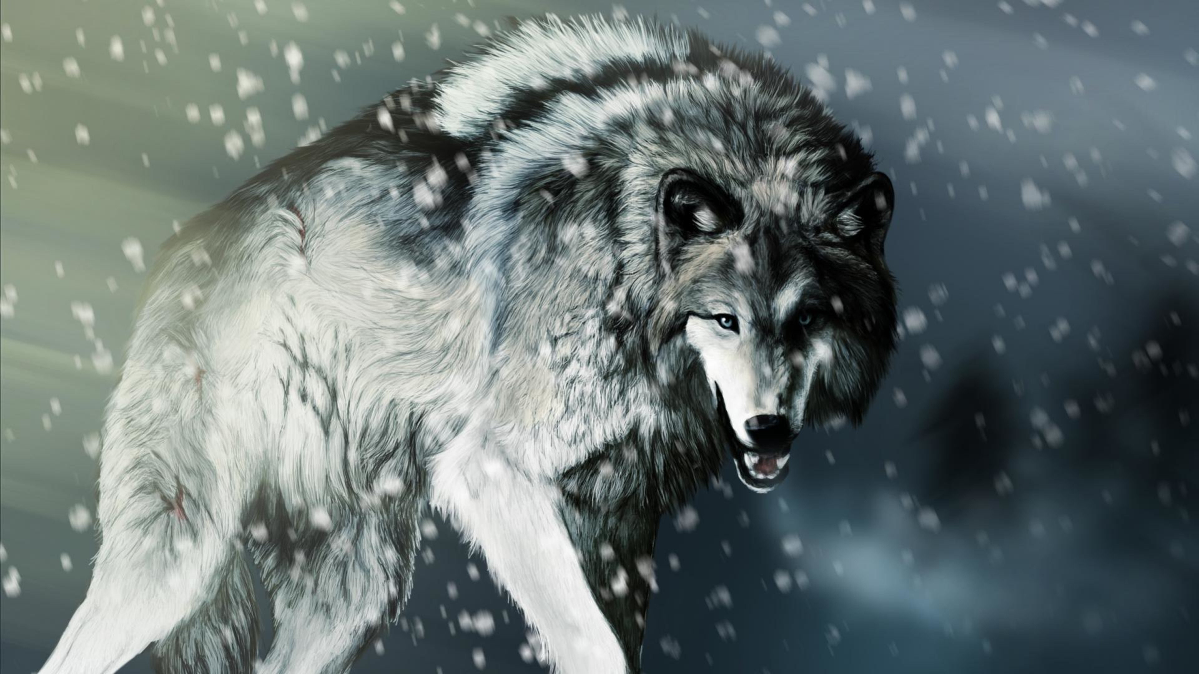 High resolution Wolf ultra hd 4k background ID:117645 for PC