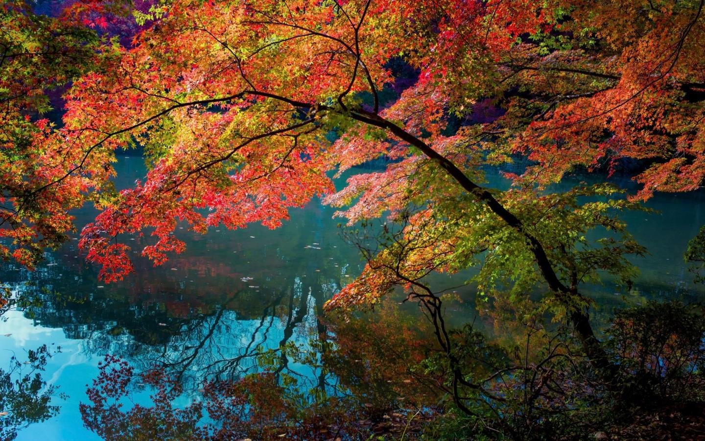 Awesome Fall free wallpaper ID:21021 for hd 1440x900 computer