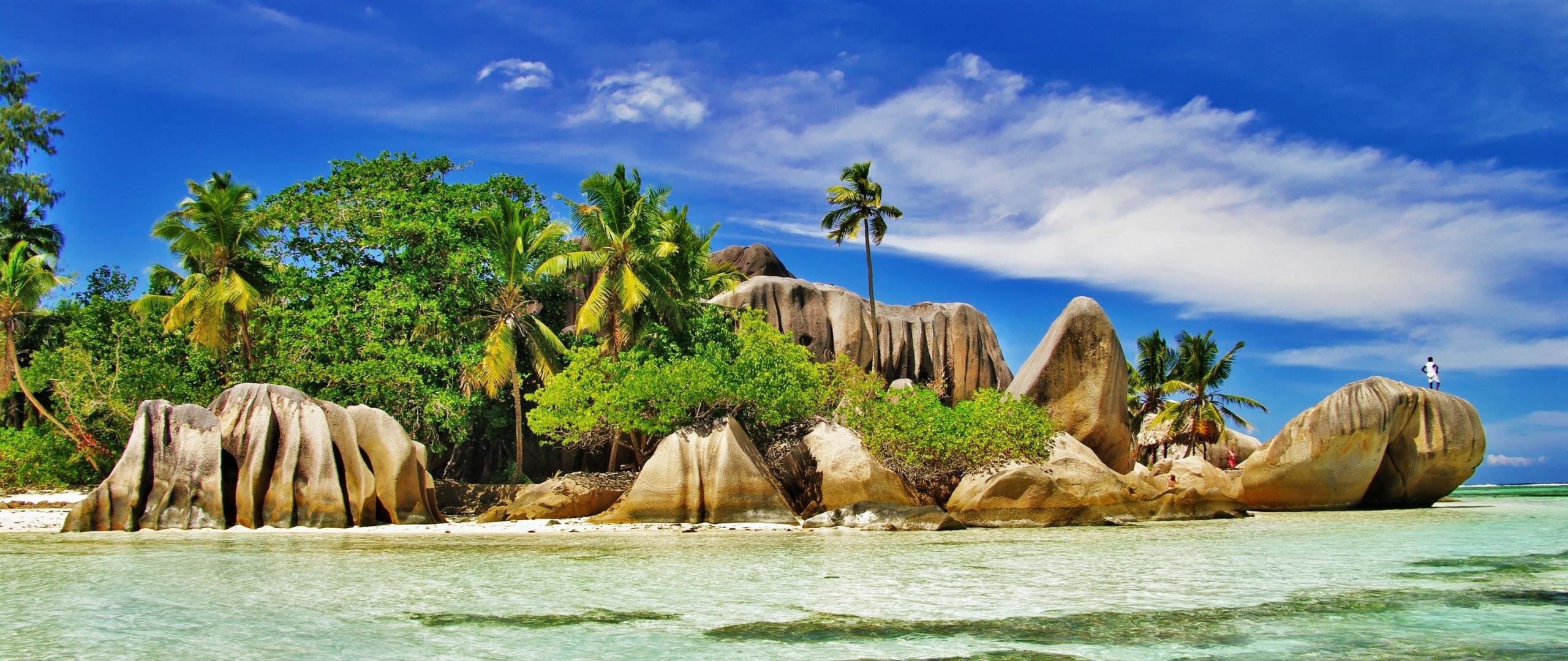 Free download Tropical background ID:319912 hd 2560x1080 for desktop