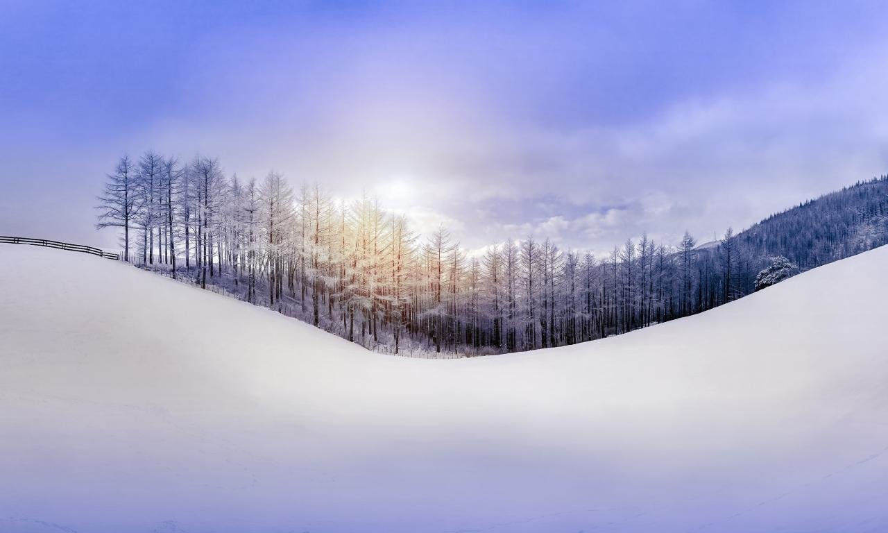 Best Winter background ID:250819 for High Resolution hd 1280x768 desktop