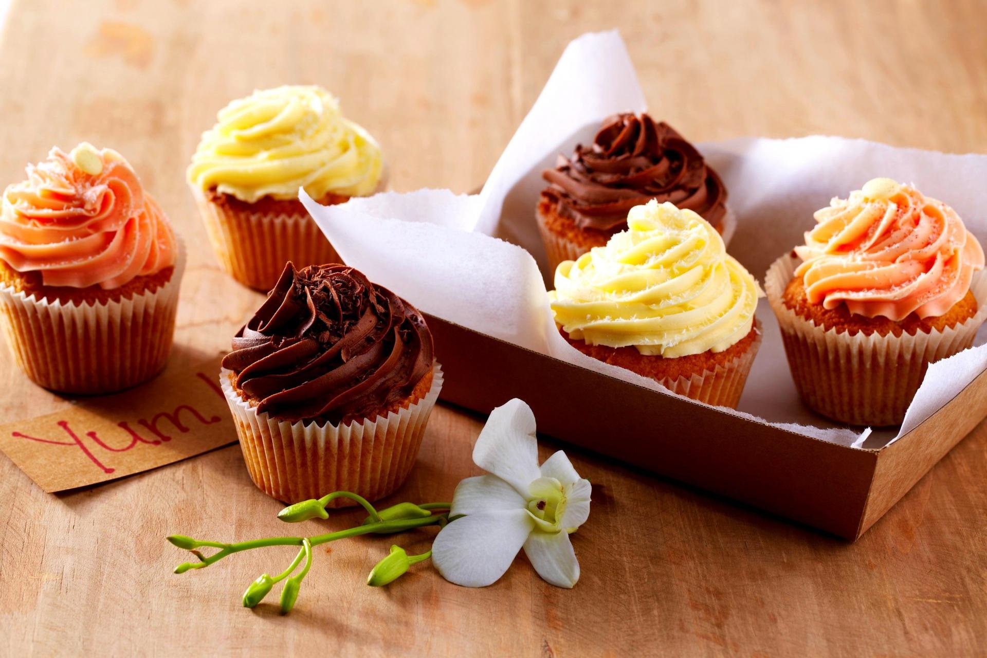 Free download Cupcake wallpaper ID:185859 hd 1920x1280 for computer