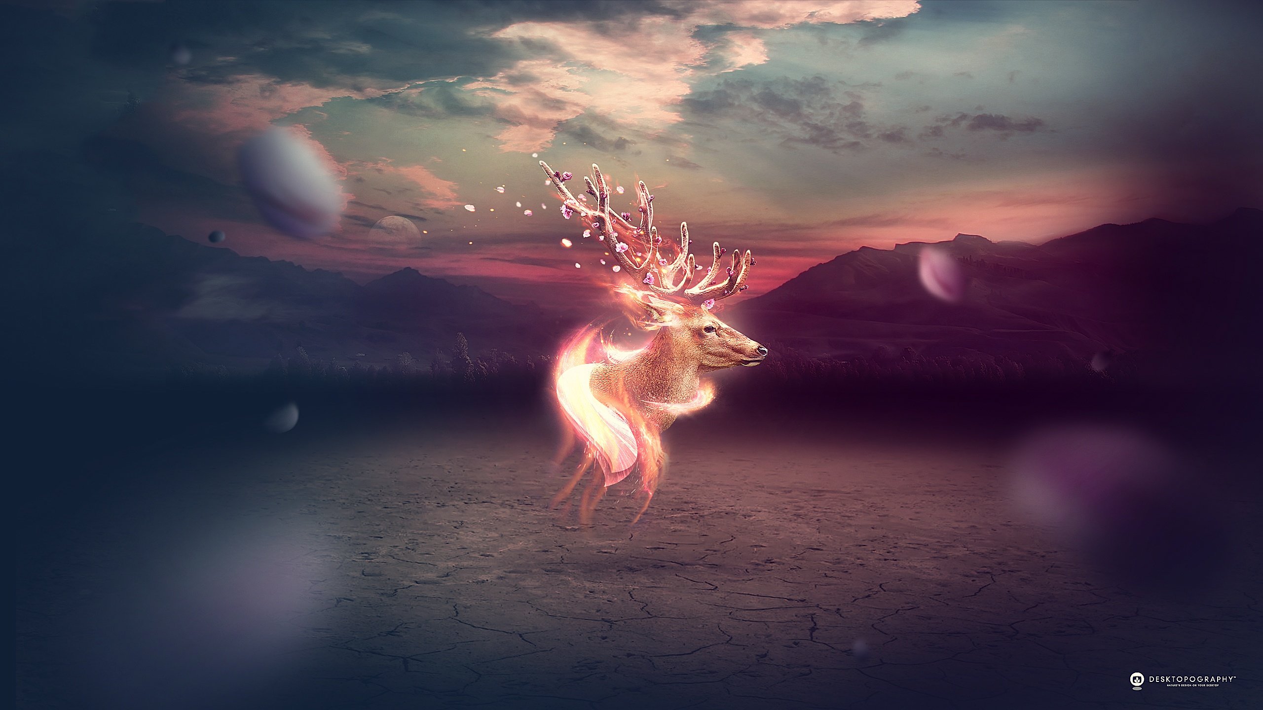 Awesome Deer Fantasy free background ID:96878 for hd 2560x1440 desktop