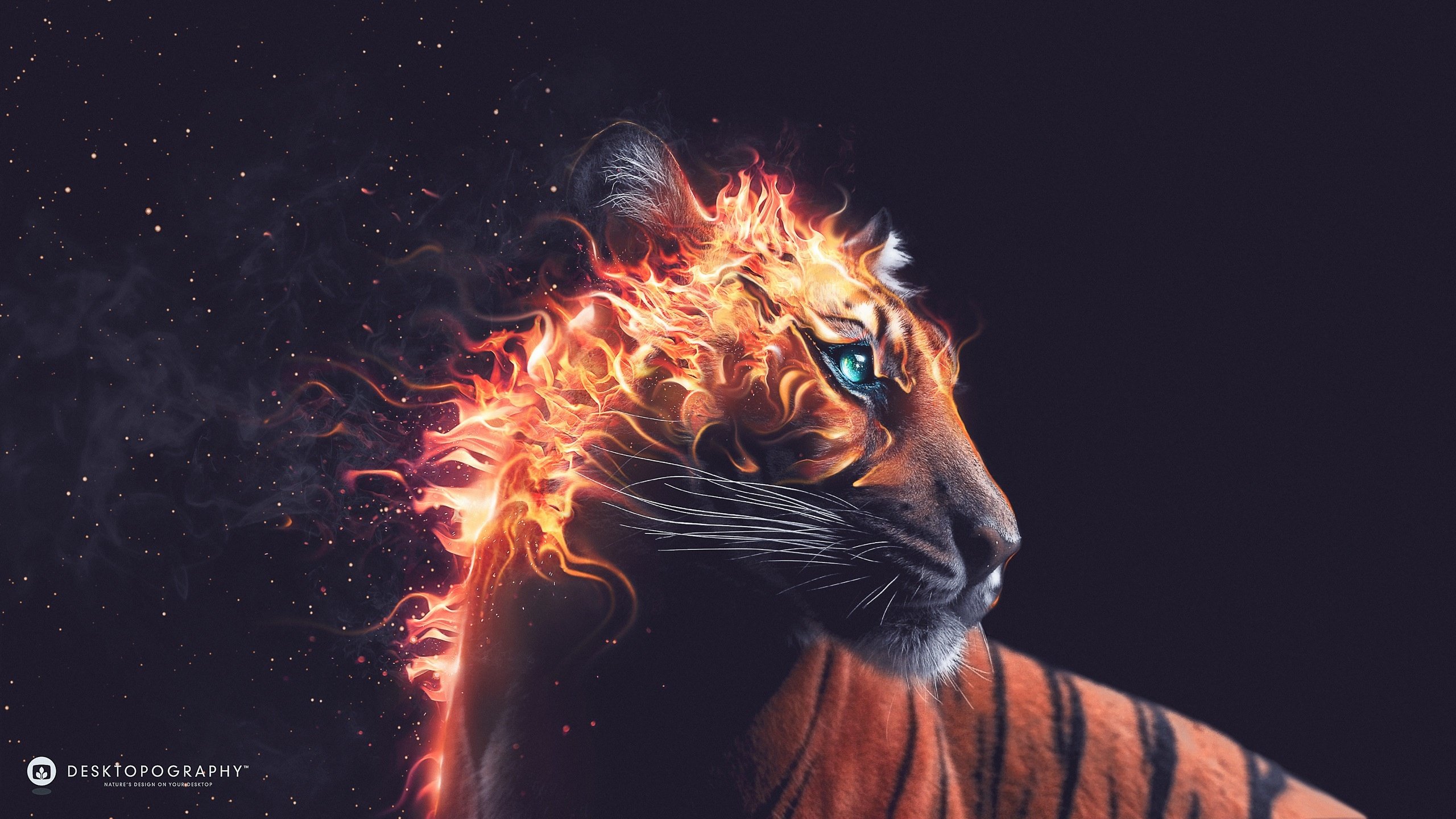 Free download Tiger Fantasy background ID:259280 hd 2560x1440 for PC