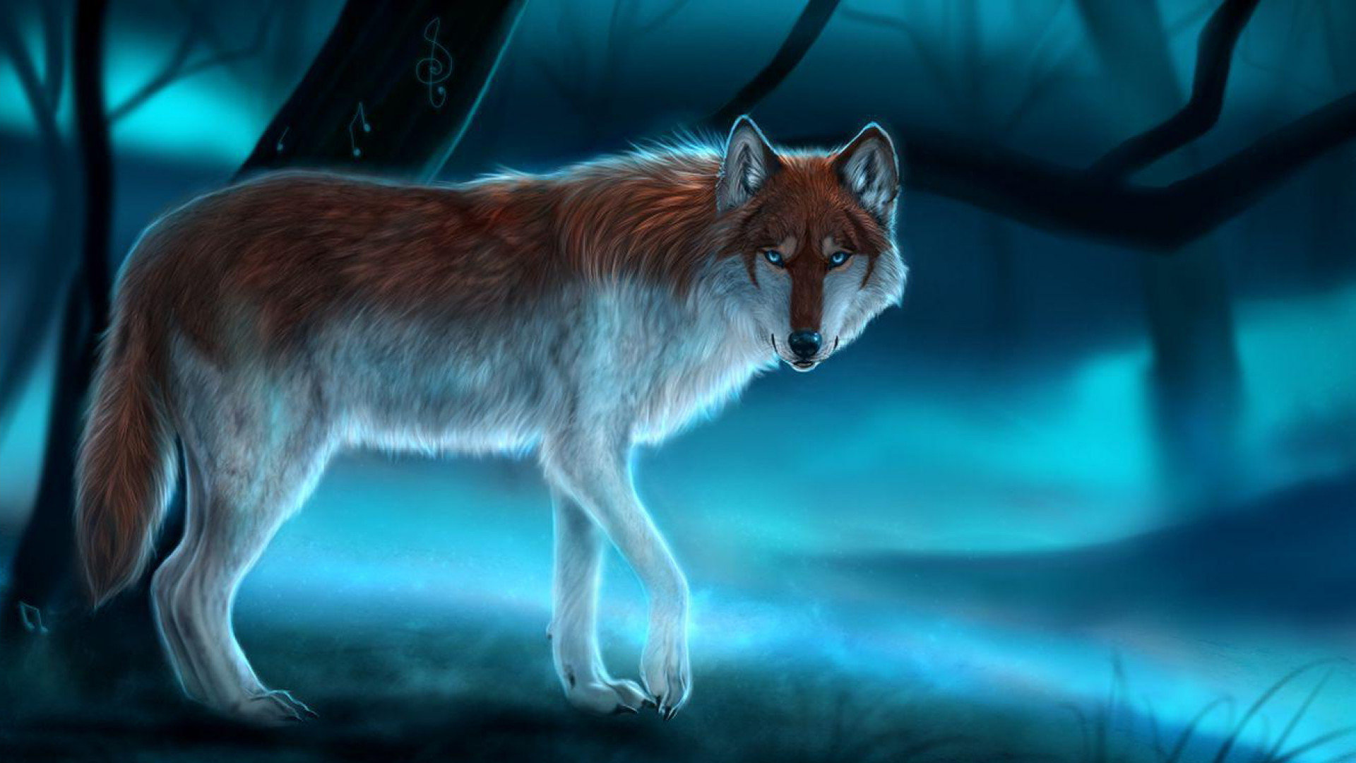 Download hd 1920x1080 Wolf desktop background ID:117892 for free