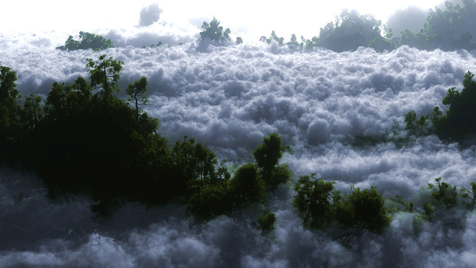 Free download Fog wallpaper ID:400759 full hd 1080p for computer
