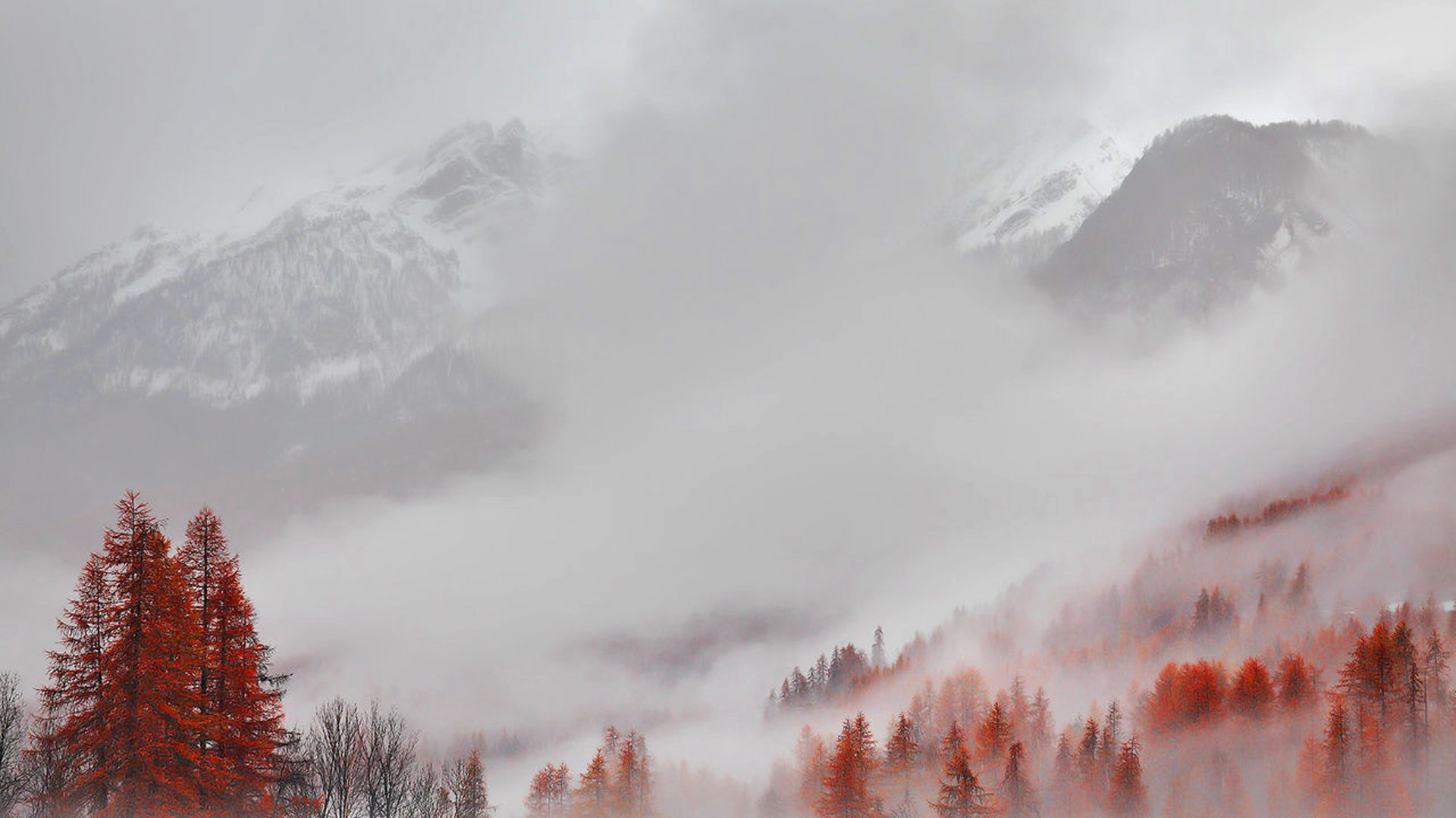Awesome Fog free wallpaper ID:400637 for full hd computer