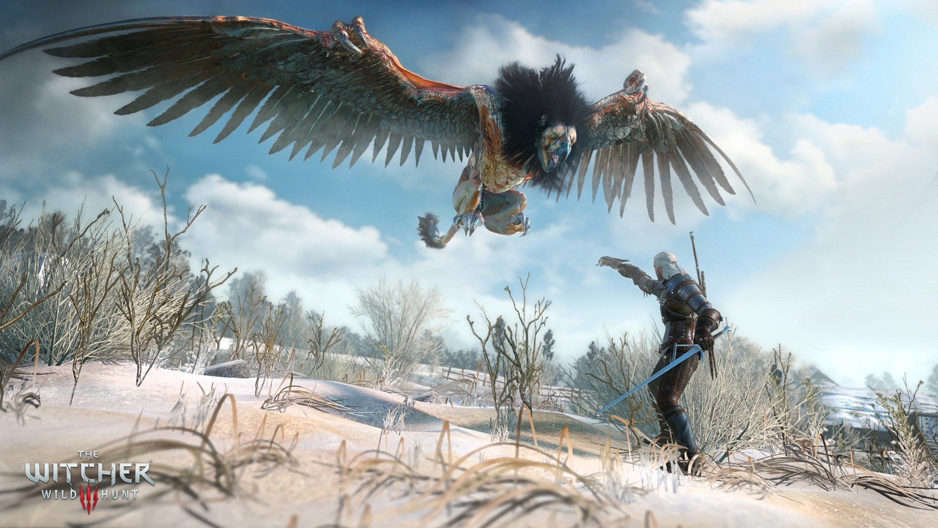 Awesome The Witcher 3: Wild Hunt free wallpaper ID:17905 for hd 1920x1080 computer