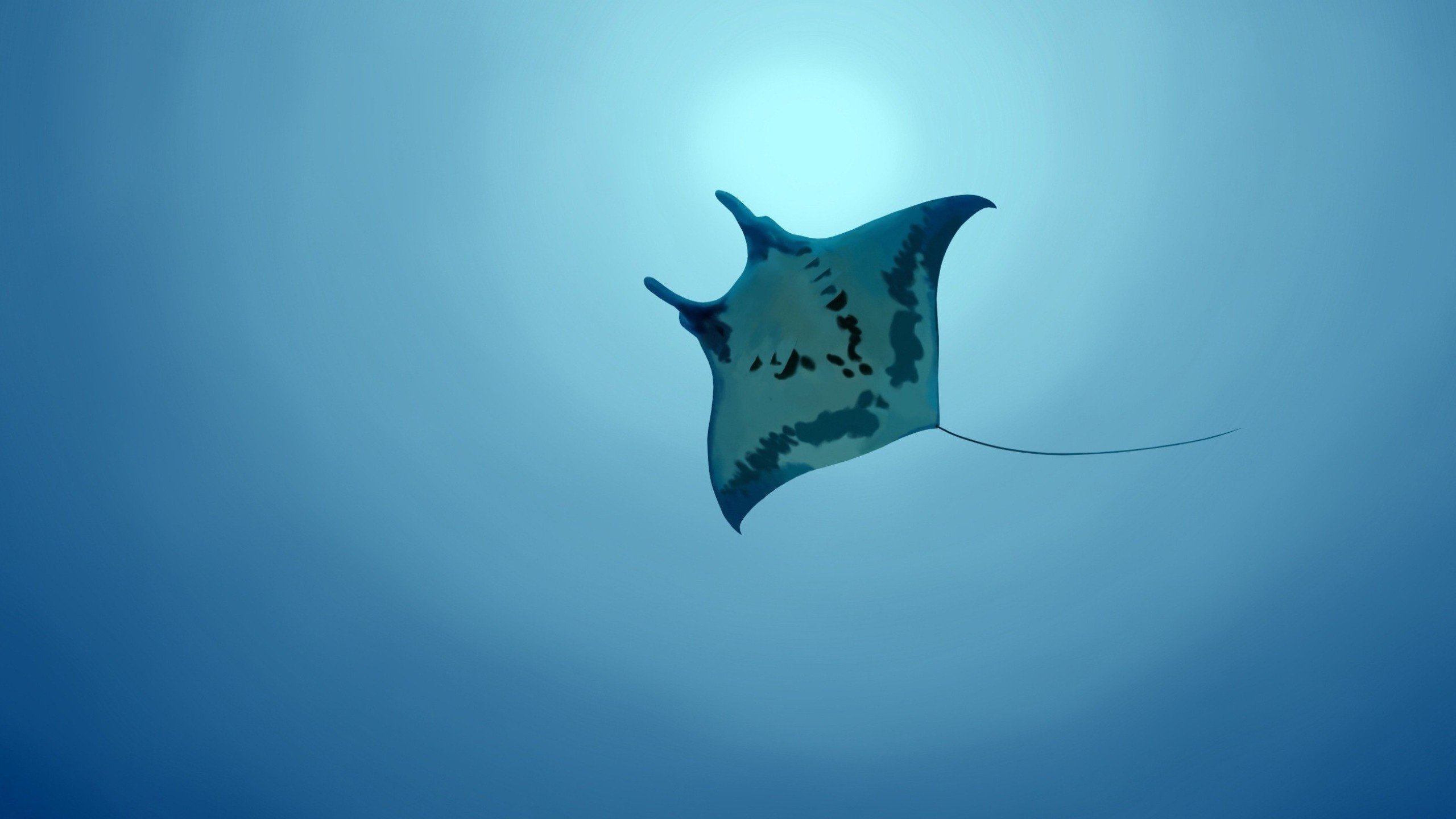 Free download Stingray wallpaper ID:339476 hd 2560x1440 for computer