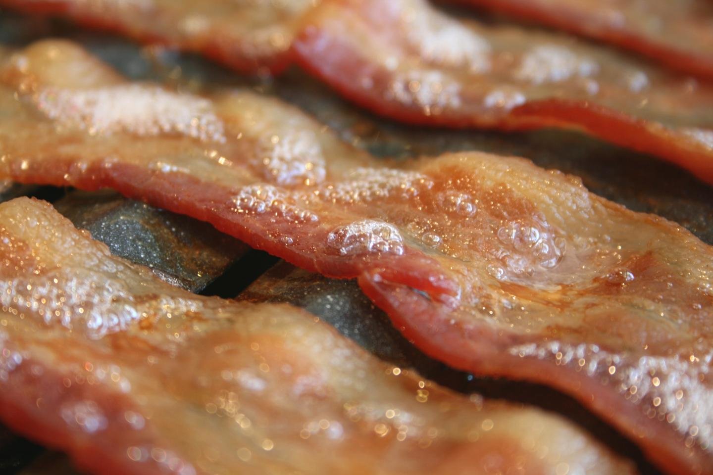 Awesome Bacon free wallpaper ID:81336 for hd 1440x960 PC