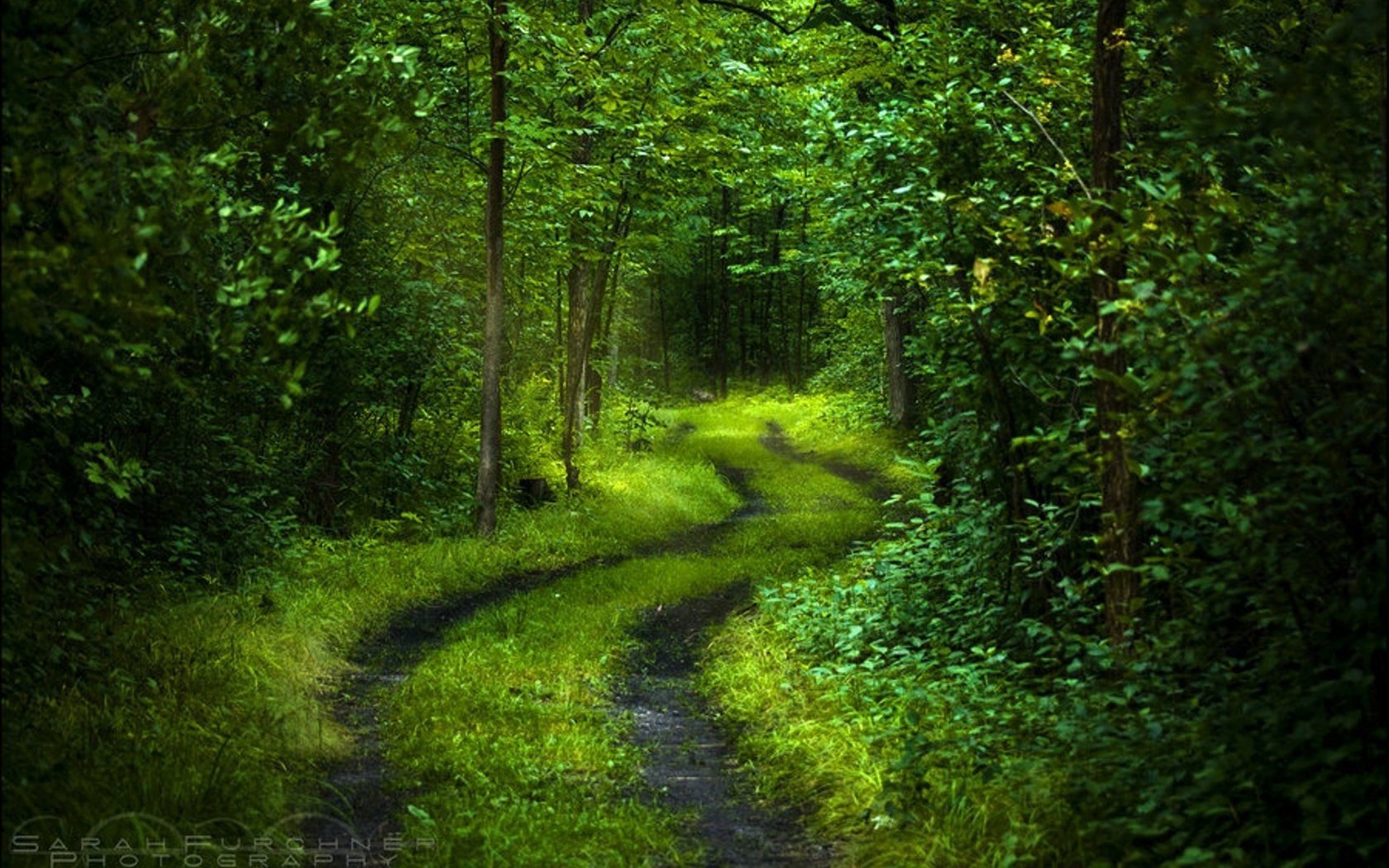 Awesome Path free wallpaper ID:465656 for hd 1680x1050 computer