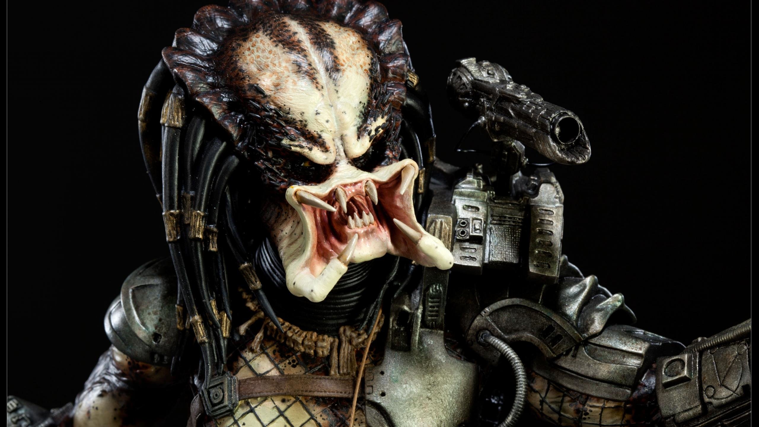 Download hd 2560x1440 Predator computer background ID:241997 for free