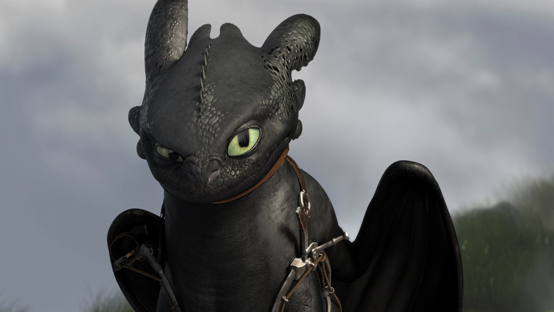 Download full hd 1920x1080 How To Train Your Dragon 2 desktop background ID:90207 for free
