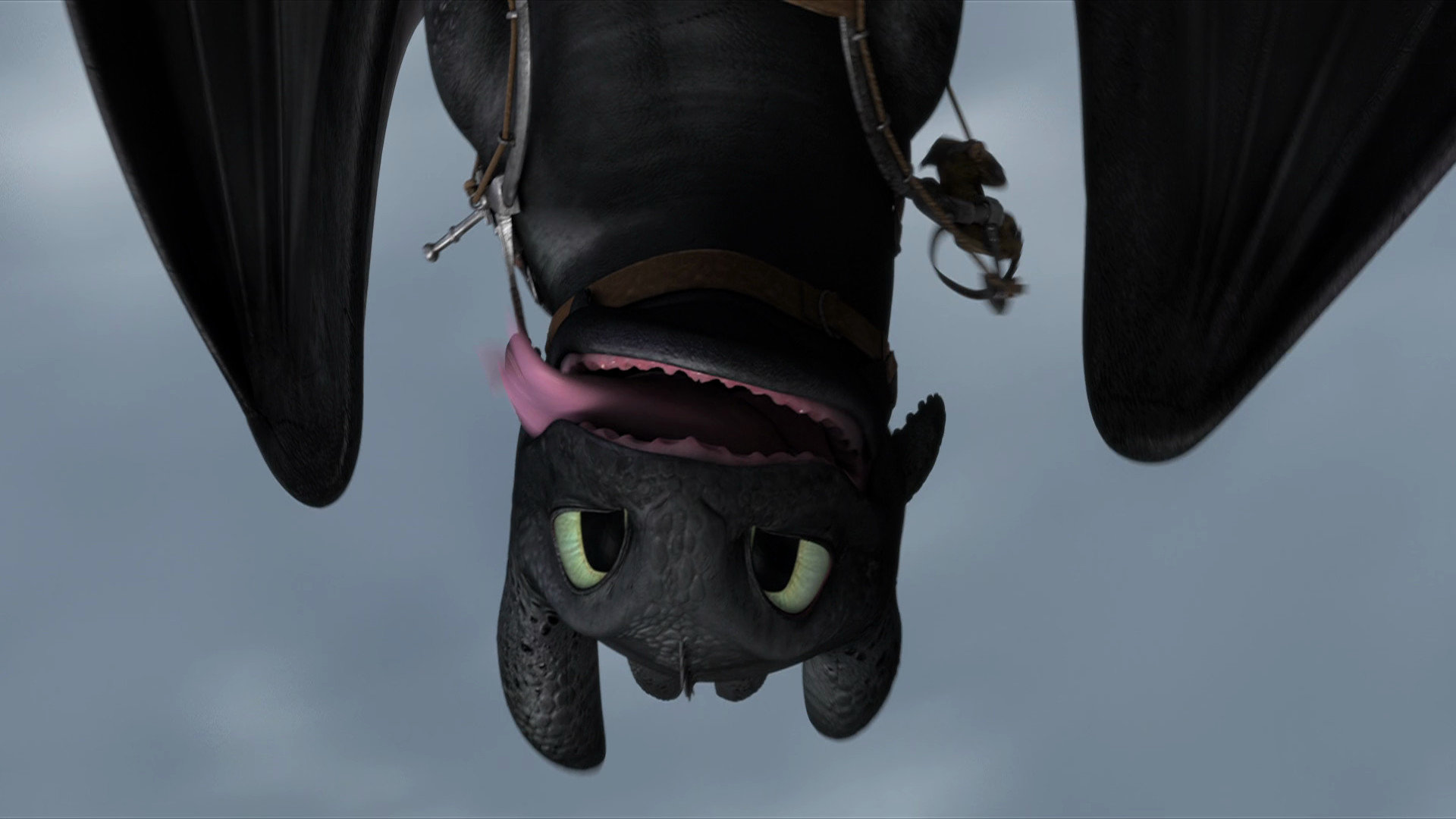 High resolution How To Train Your Dragon 2 full hd background ID:90214 for desktop