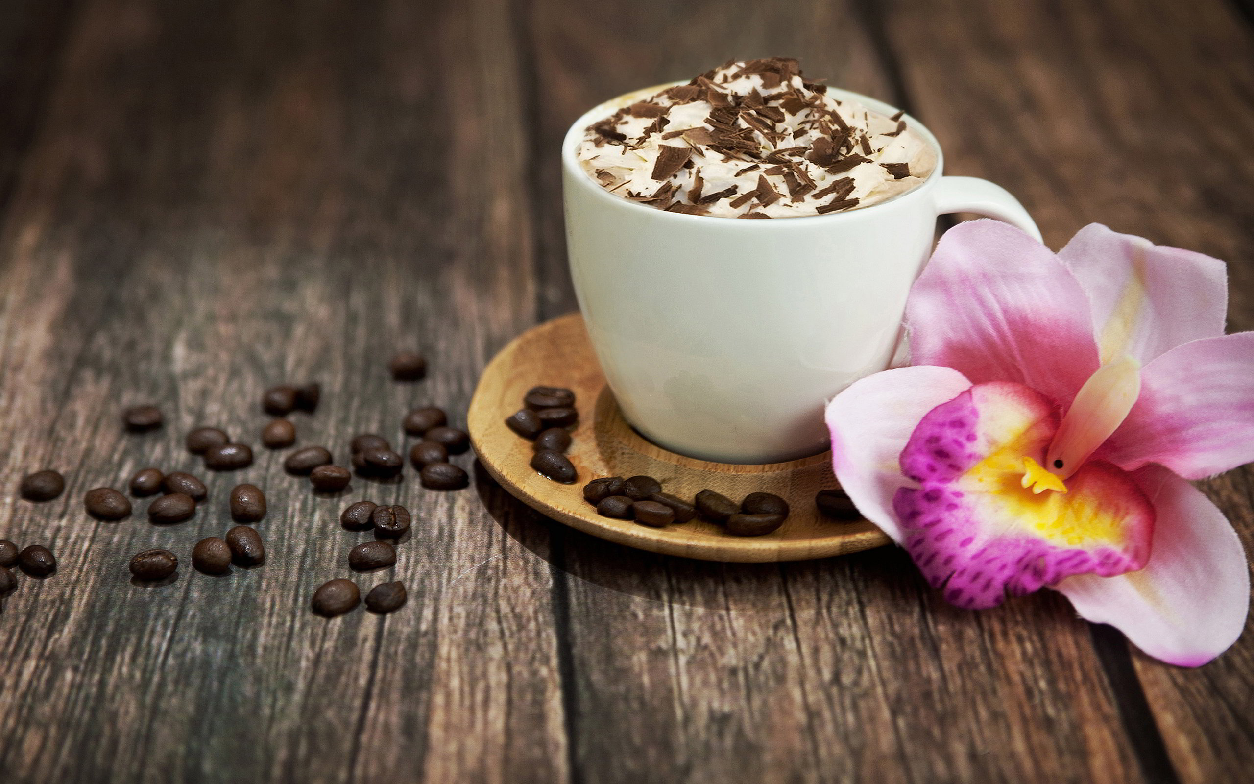 Download hd 2560x1600 Cappuccino computer background ID:129569 for free