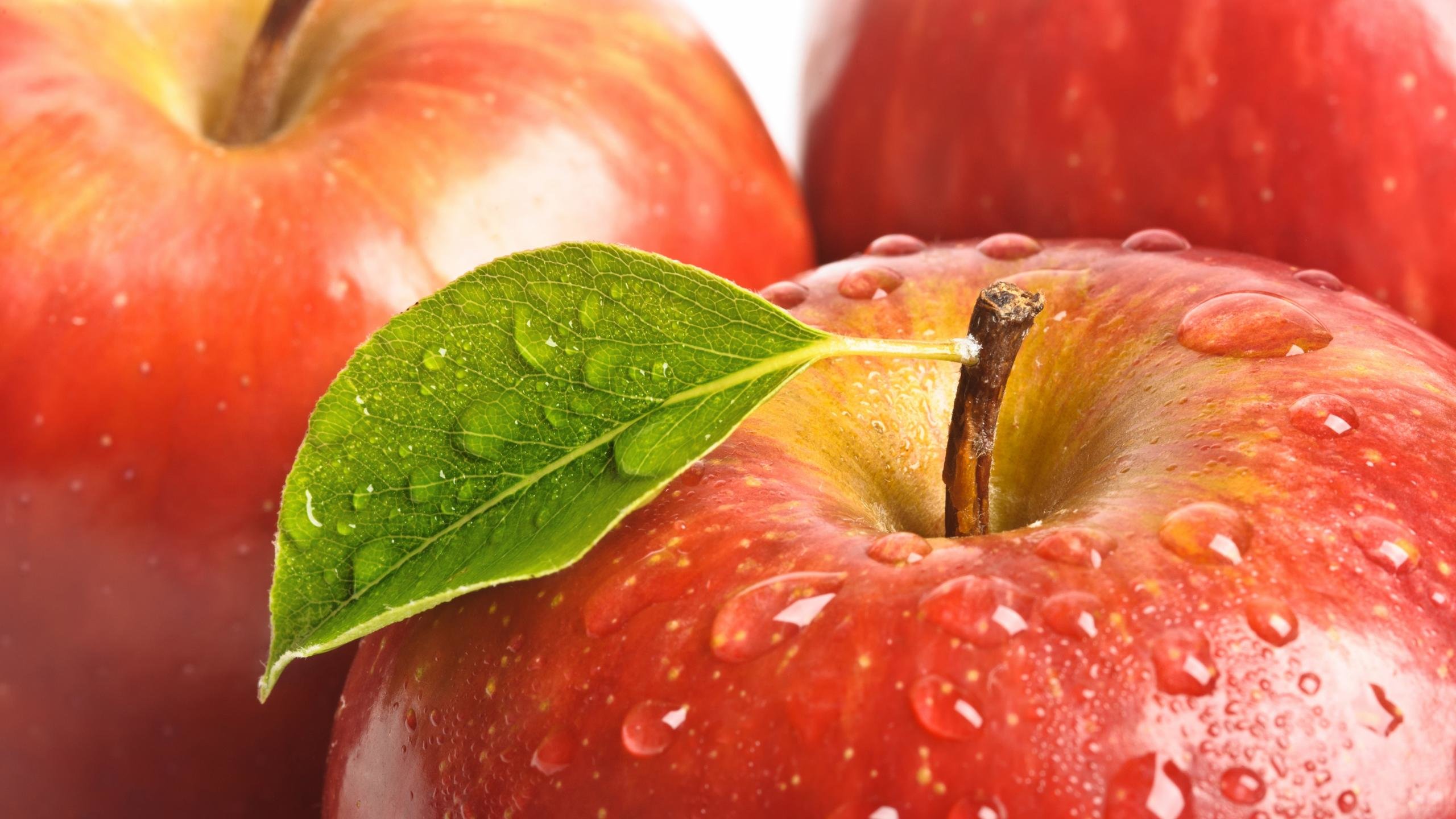 Free Apple fruit high quality background ID:296011 for hd 2560x1440 desktop