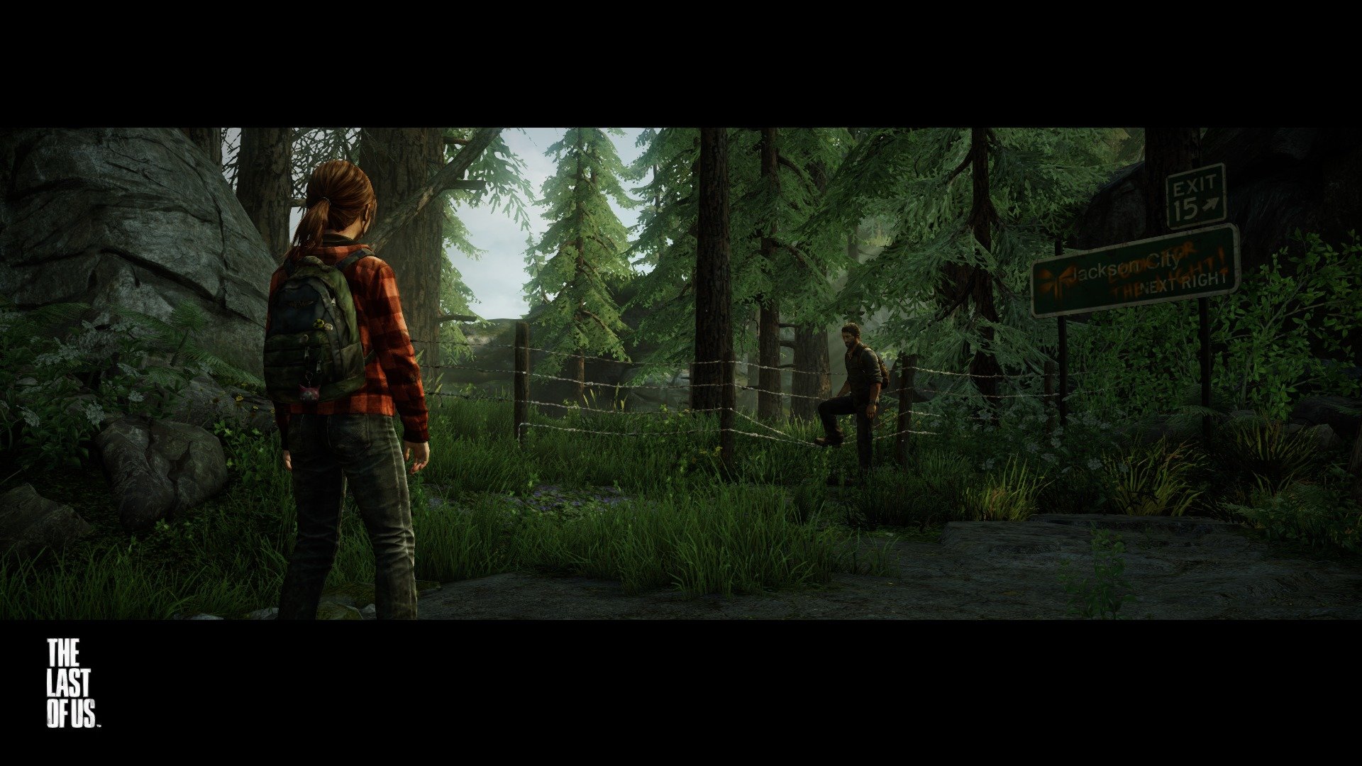 Free The Last Of Us high quality background ID:248089 for full hd 1920x1080 desktop