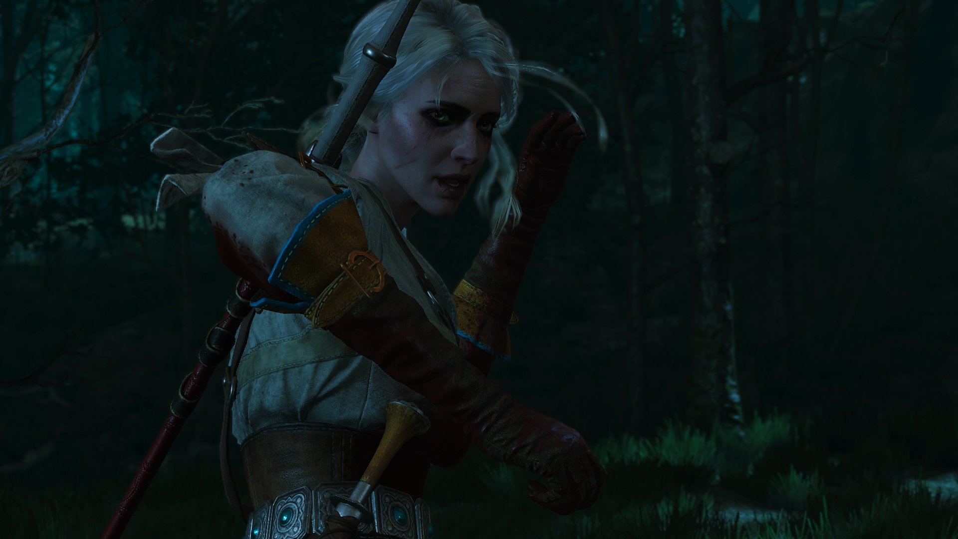 Download full hd 1920x1080 The Witcher 3: Wild Hunt desktop background ID:18076 for free