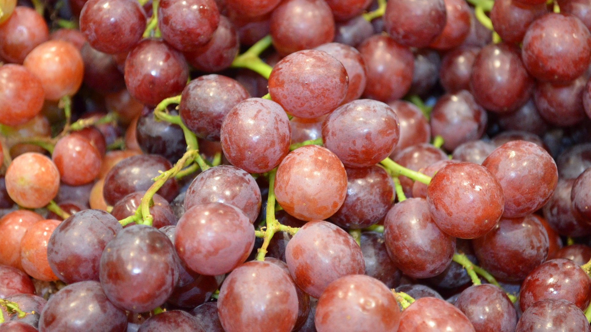 Awesome Grapes free background ID:420827 for full hd 1080p desktop