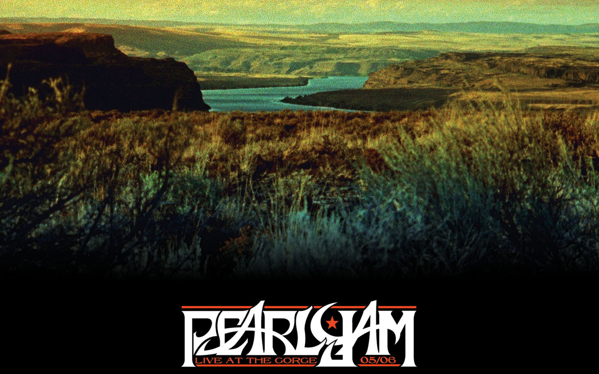 Best Pearl Jam background ID:469375 for High Resolution hd 1920x1200 desktop