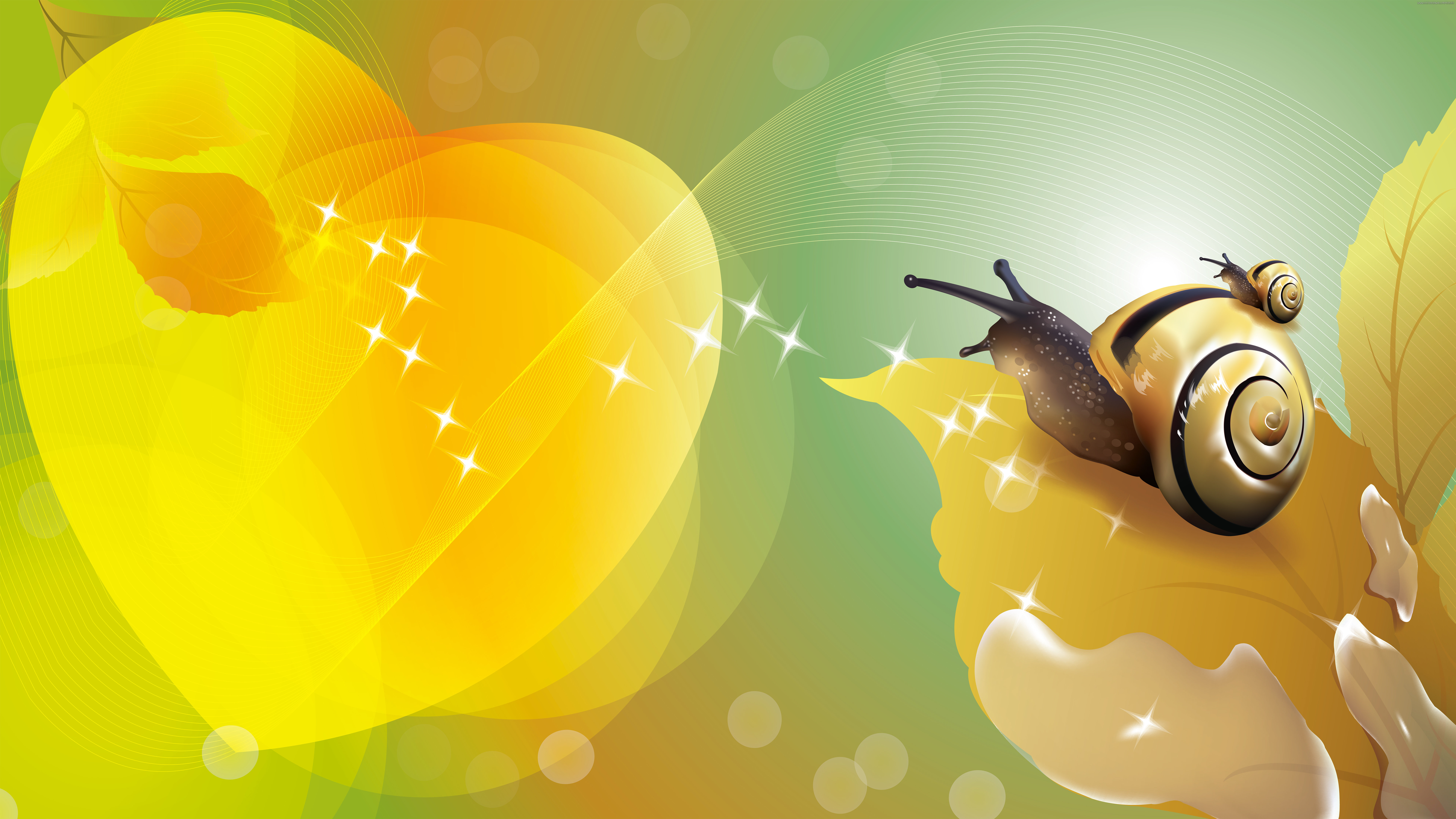Free Snail high quality background ID:198940 for uhd 8k computer