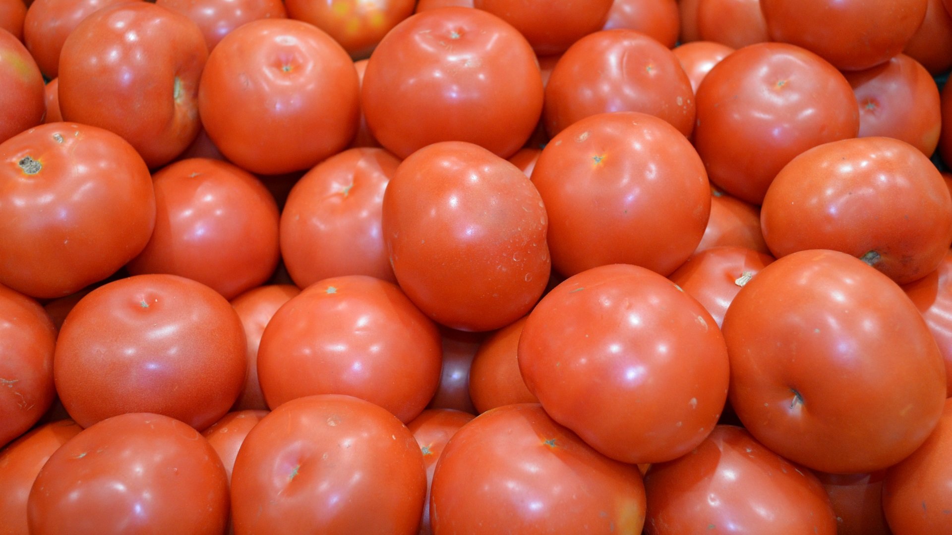 Free download Tomato background ID:95419 1080p for PC