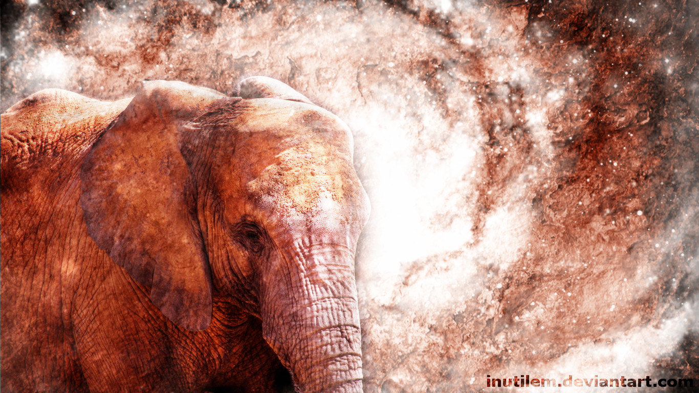 High resolution Elephant laptop wallpaper ID:132835 for desktop