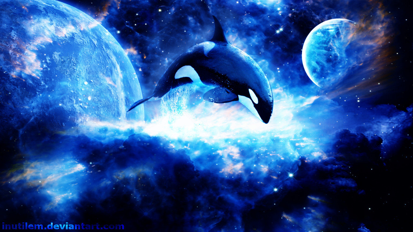 Best Orca wallpaper ID:384459 for High Resolution laptop computer