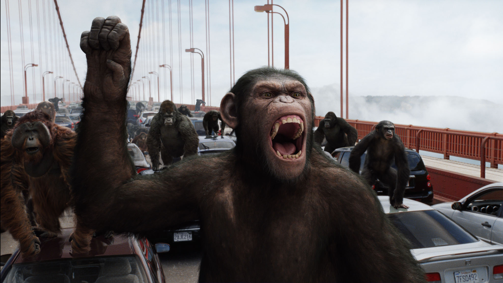 Free download Rise Of The Planet Of The Apes wallpaper ID:271545 hd 2048x1152 for PC