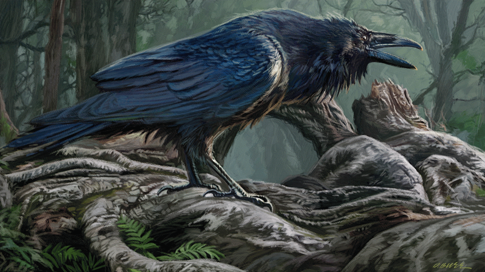 Download hd 1600x900 Raven computer wallpaper ID:397350 for free