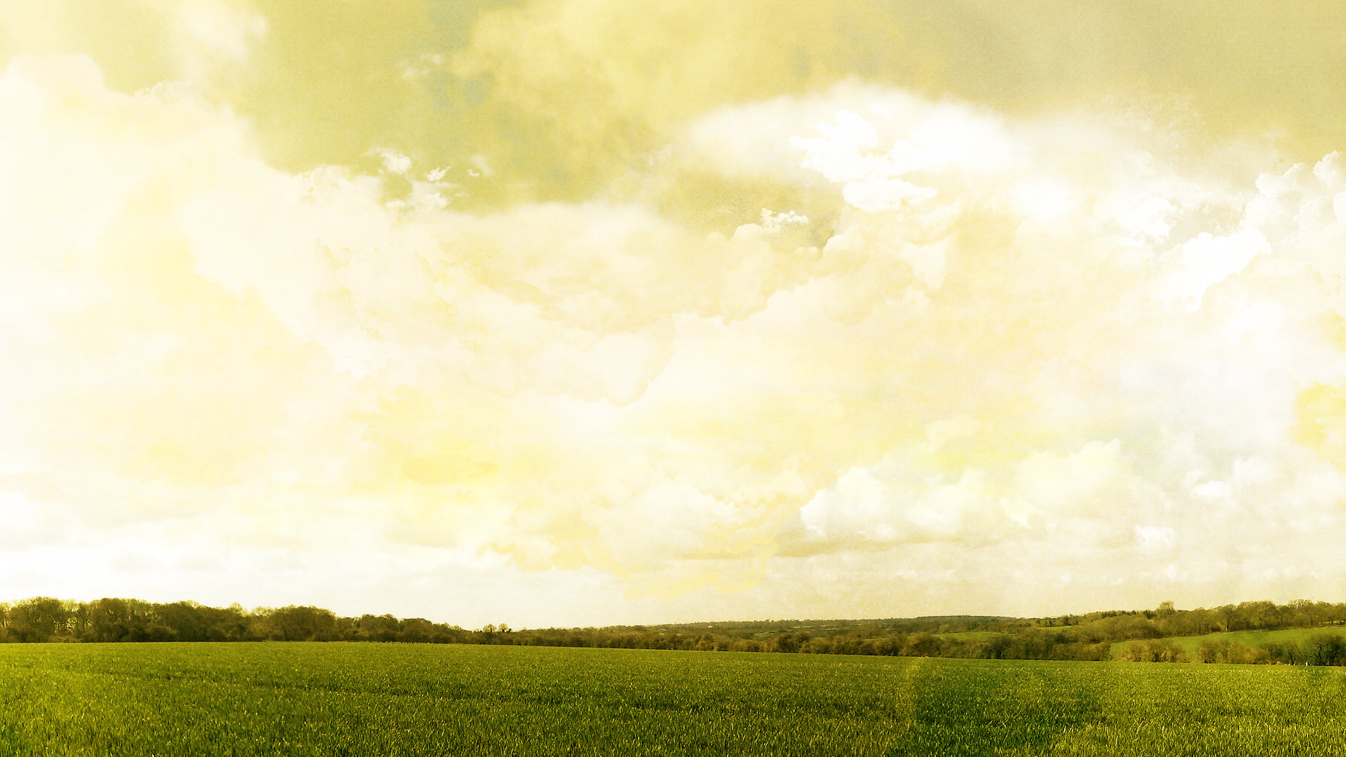 Awesome Field free background ID:70687 for full hd desktop
