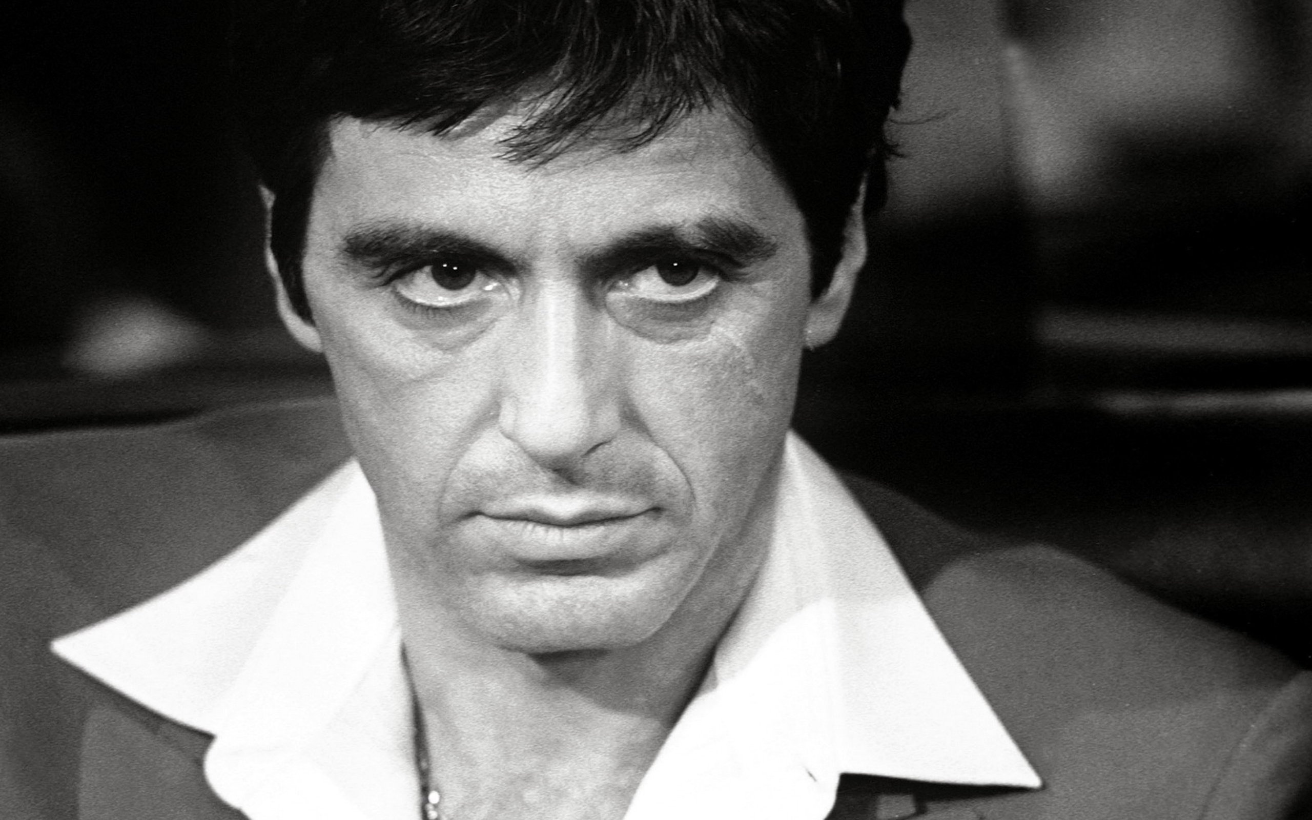 Download hd 2560x1600 Scarface PC background ID:175235 for free