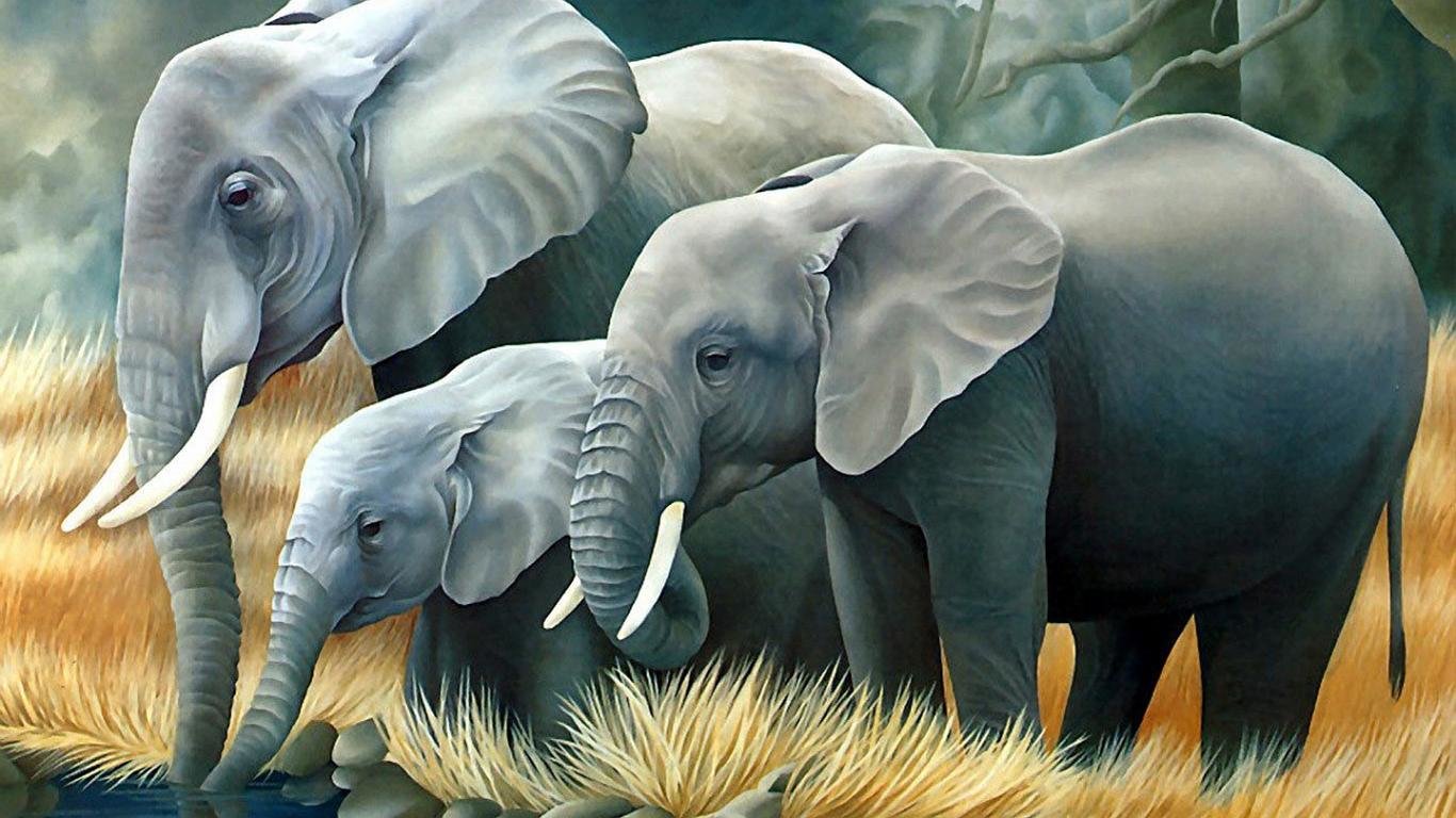 Best Elephant wallpaper ID:132834 for High Resolution laptop PC