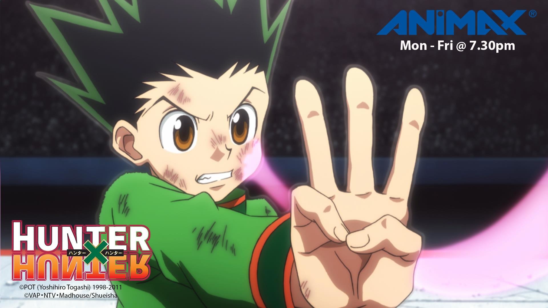 Awesome Hunter X Hunter free background ID:10924 for full hd 1080p PC