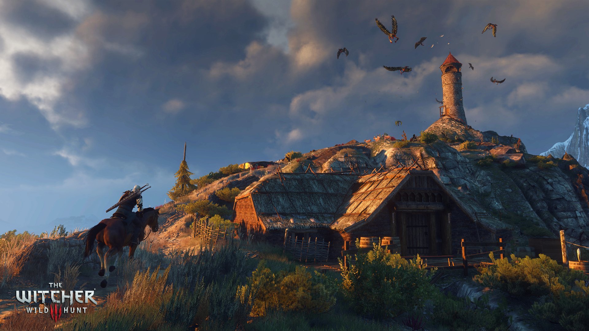 Awesome The Witcher 3: Wild Hunt free background ID:18047 for hd 1920x1080 PC