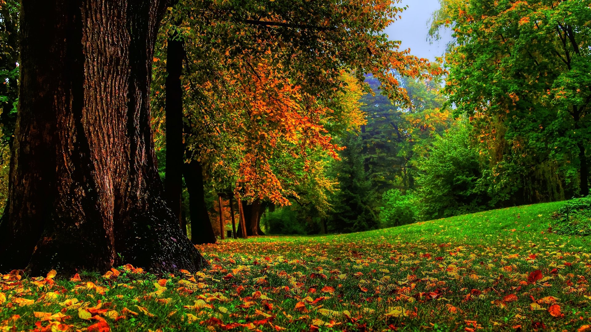 Best Park background ID:99057 for High Resolution full hd 1920x1080 PC