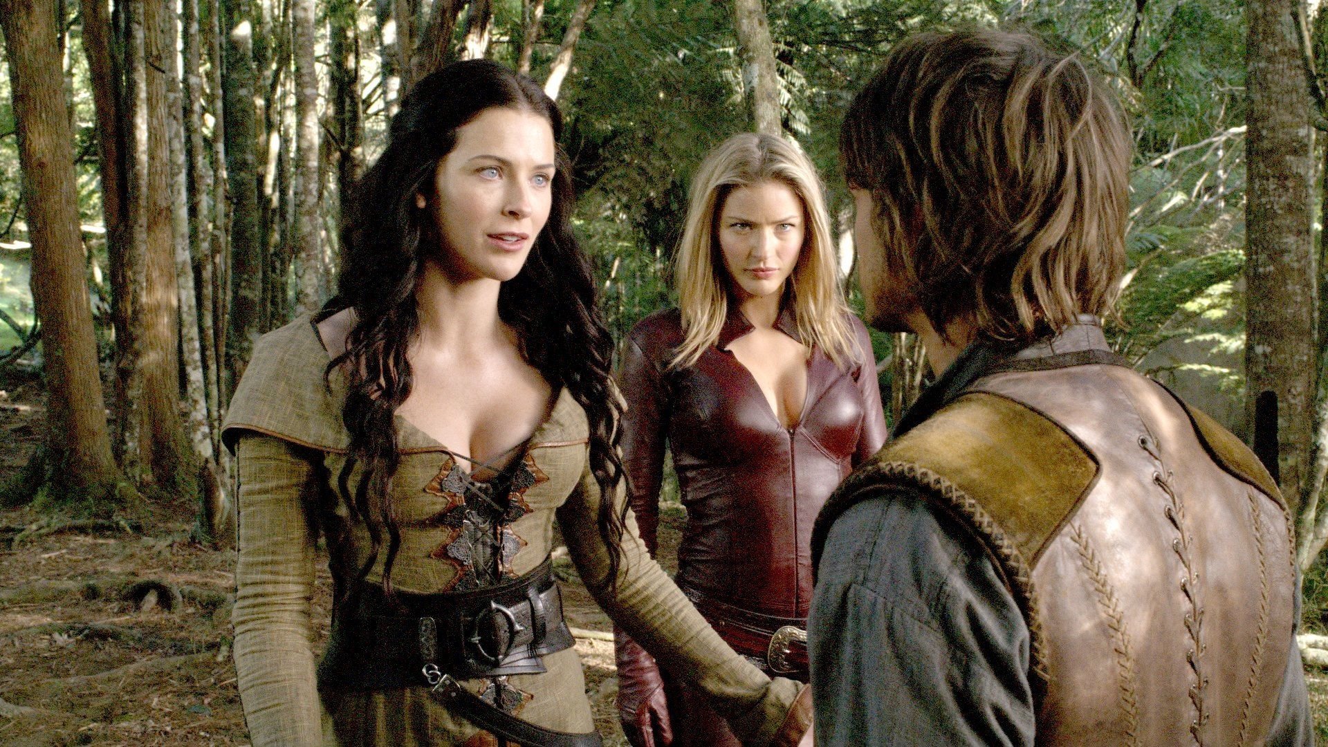 Free Legend Of The Seeker high quality background ID:32619 for hd 1920x1080 desktop