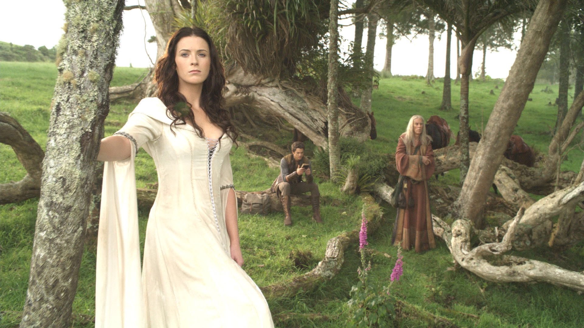 Free Legend Of The Seeker high quality wallpaper ID:32681 for full hd 1080p PC