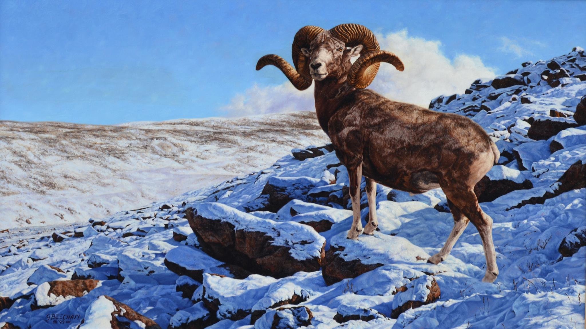 Best Bighorn Sheep wallpaper ID:445230 for High Resolution hd 2048x1152 PC