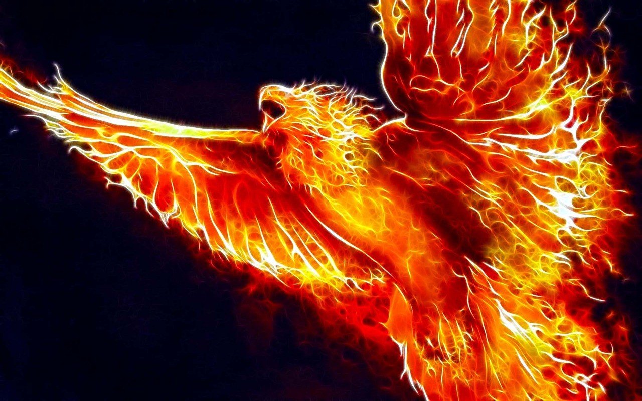 High resolution Phoenix hd 1280x800 background ID:100485 for computer