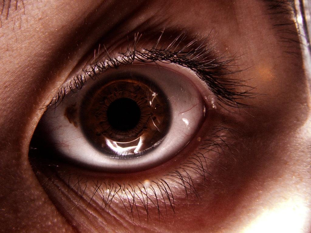 Best Eye background ID:63885 for High Resolution hd 1024x768 computer