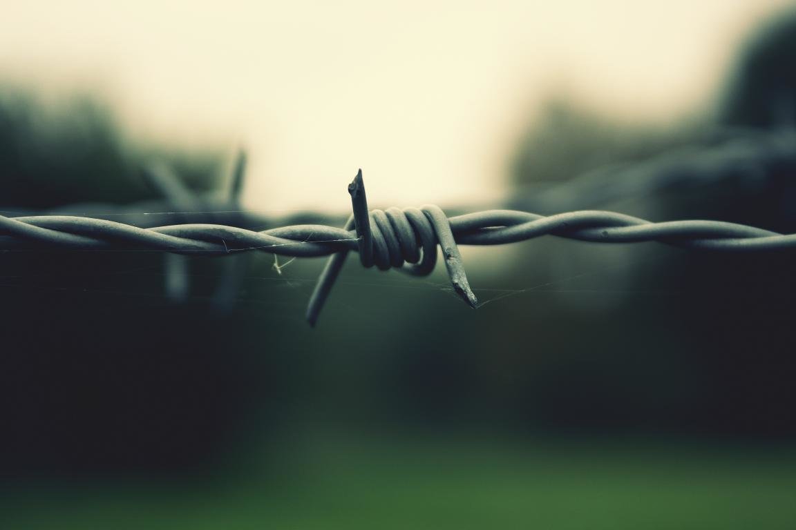 Free Barb Wire high quality wallpaper ID:259581 for hd 1152x768 PC