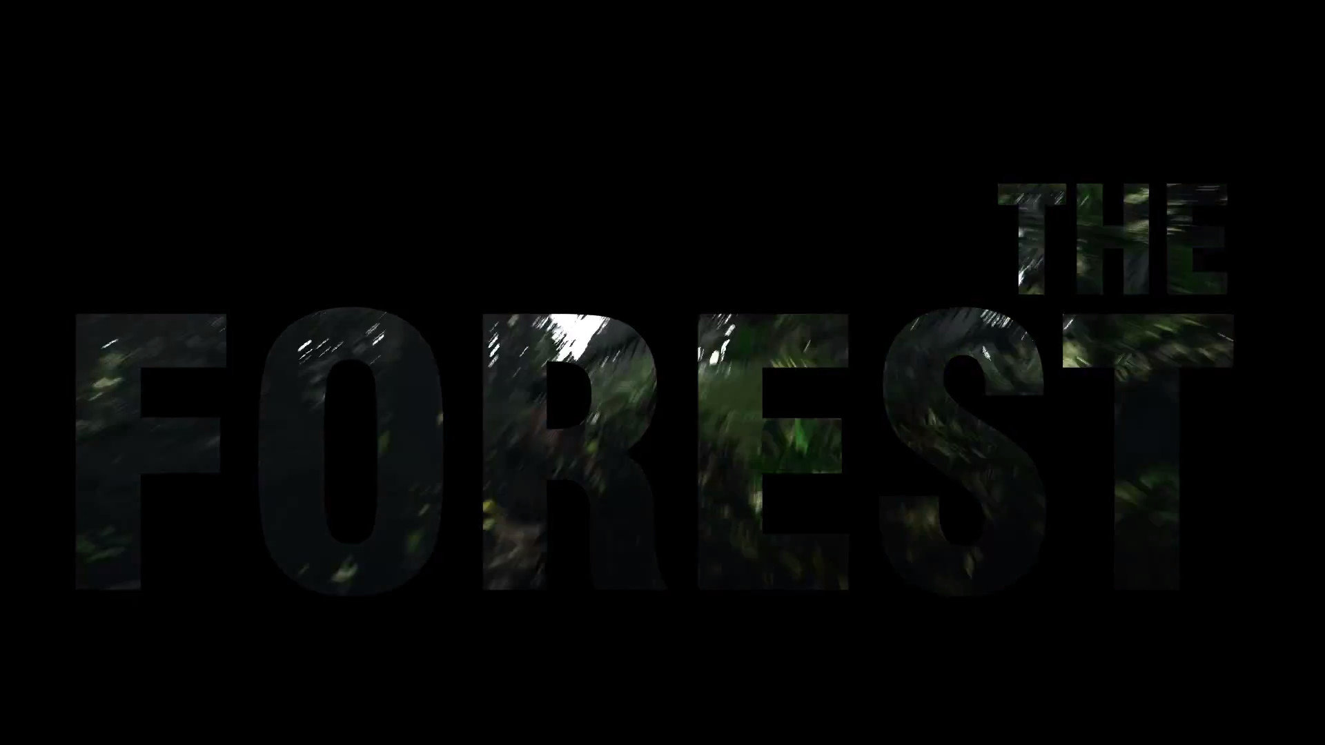 Download hd 1080p The Forest computer background ID:212002 for free