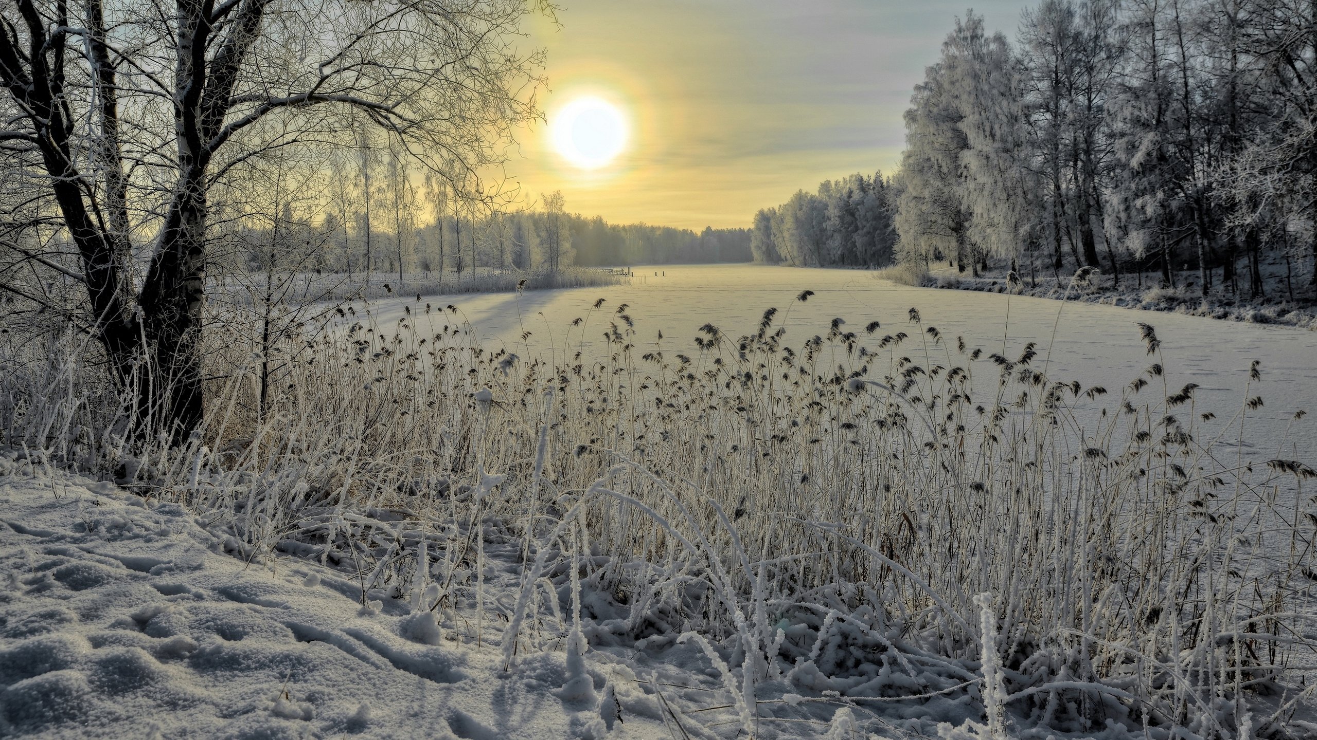 Awesome Winter free background ID:251773 for hd 2560x1440 desktop