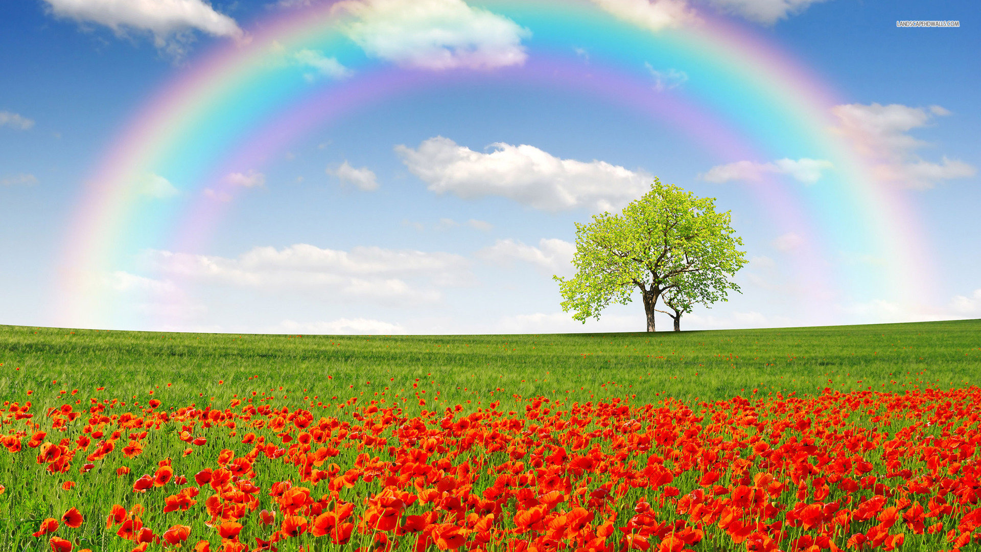 Best Rainbow background ID:402954 for High Resolution hd 1080p PC