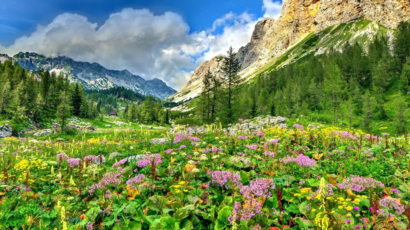Awesome Meadow free background ID:344899 for hd 1366x768 desktop