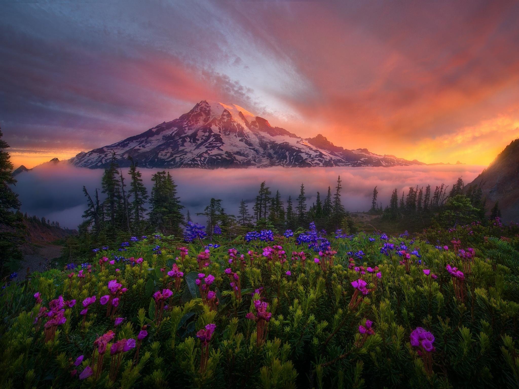 Free download Mount Rainier background ID:340505 hd 2048x1536 for PC