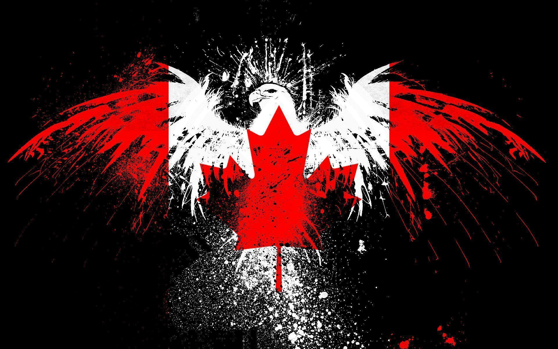 Free download Canadian flag background ID:493137 hd 1920x1200 for computer