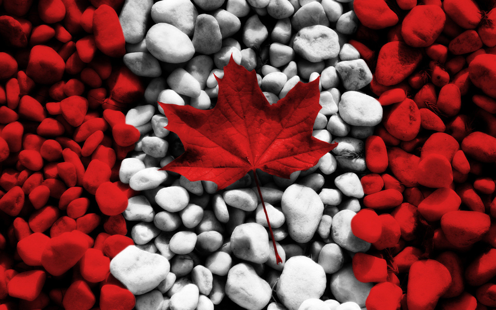 Download hd 1920x1200 Canadian flag PC background ID:493138 for free