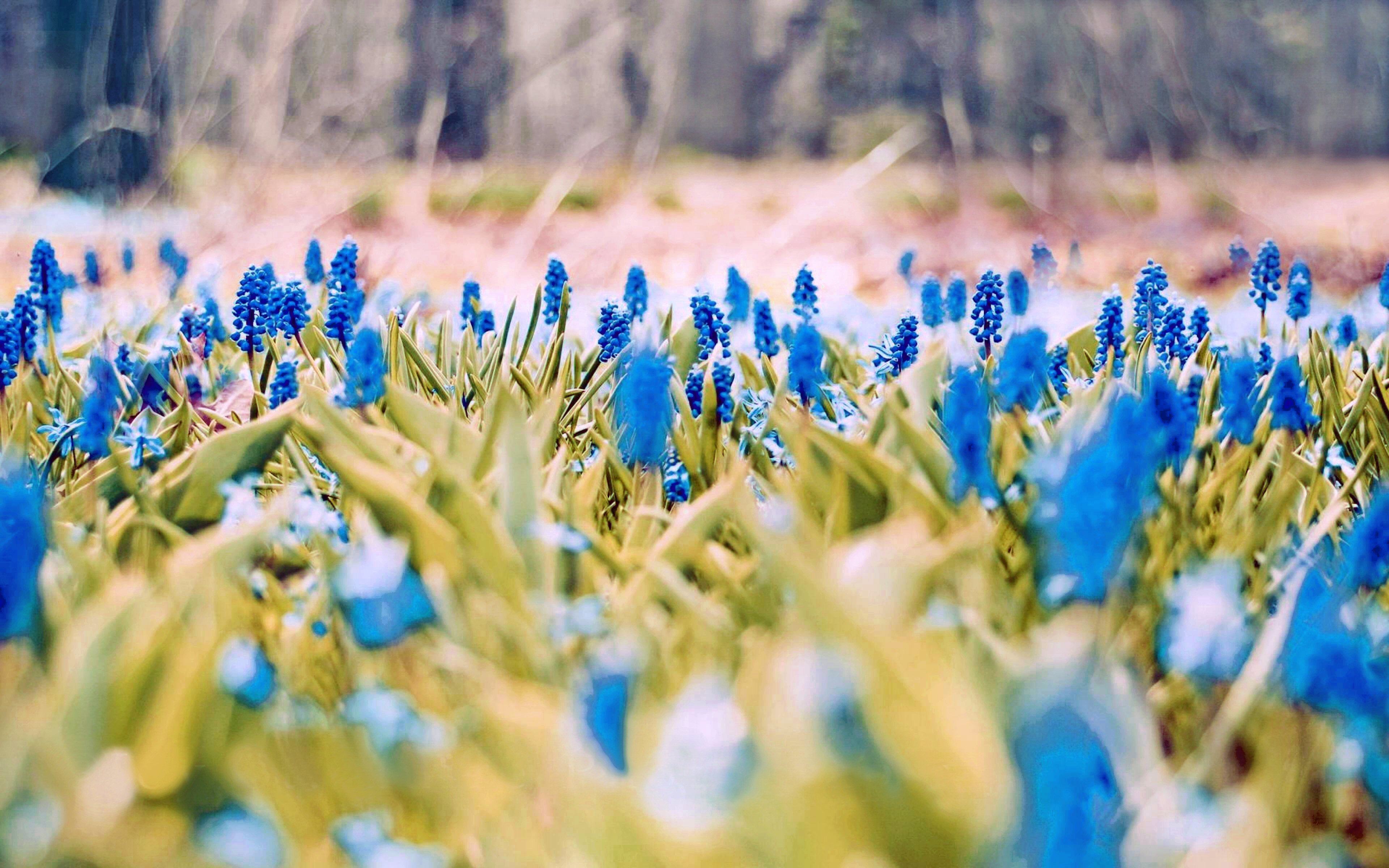High resolution Spring hd 3840x2400 background ID:104067 for computer